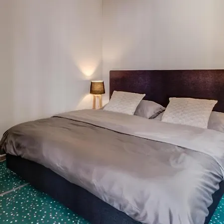 Apartment Studia Maxim Frydek-Mistek