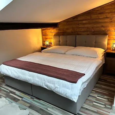 Studia Maxim Apartment Frydek-Mistek