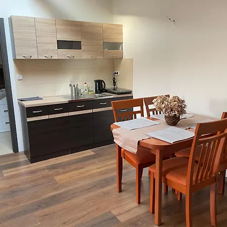 Studia Maxim Apartment Frydek-Mistek