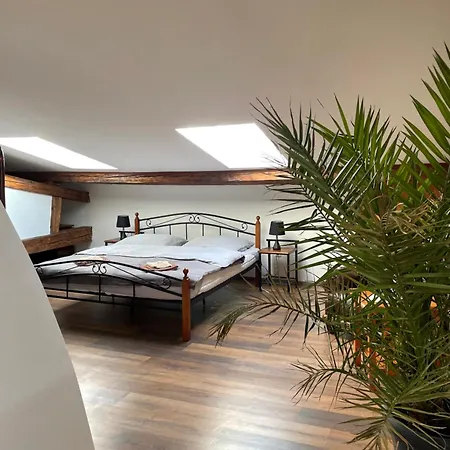 Studia Maxim Apartment *